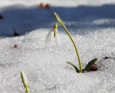 Прикрепленное изображение: IMG_5239++.jpg